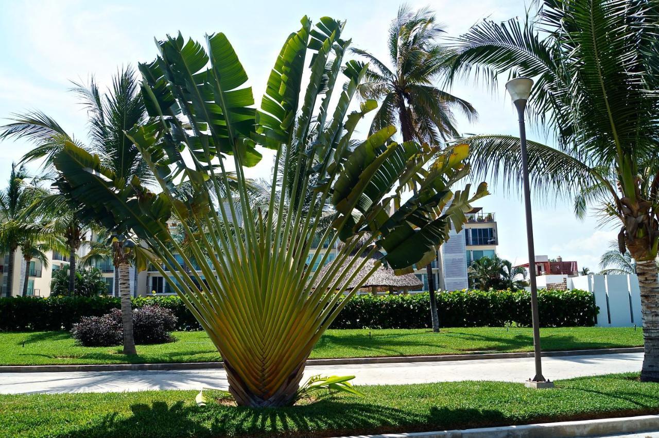 דירות Penthouse Con Jacuzzi En Acapulco Diamante מראה חיצוני תמונה